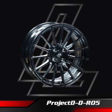 ProjectD-D-R05